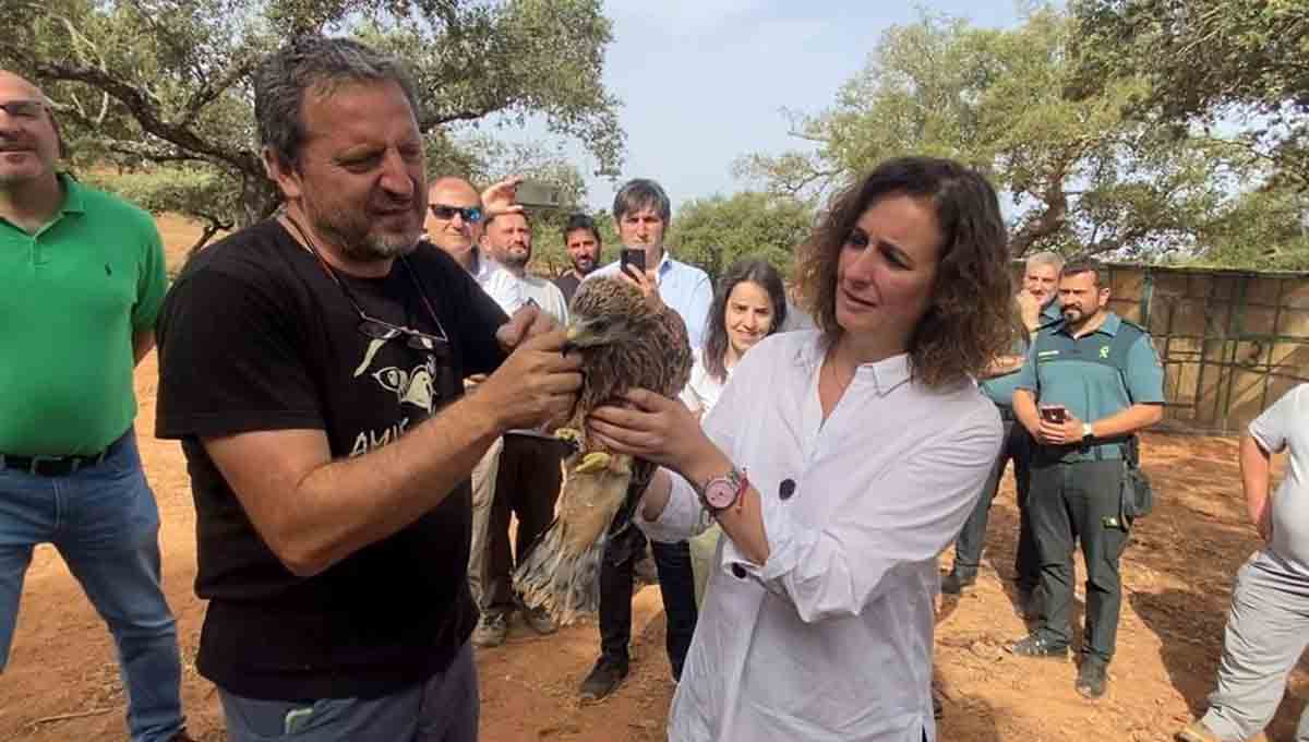 Liberación de milanos reales / Foto: Junta de Extremadura - EP