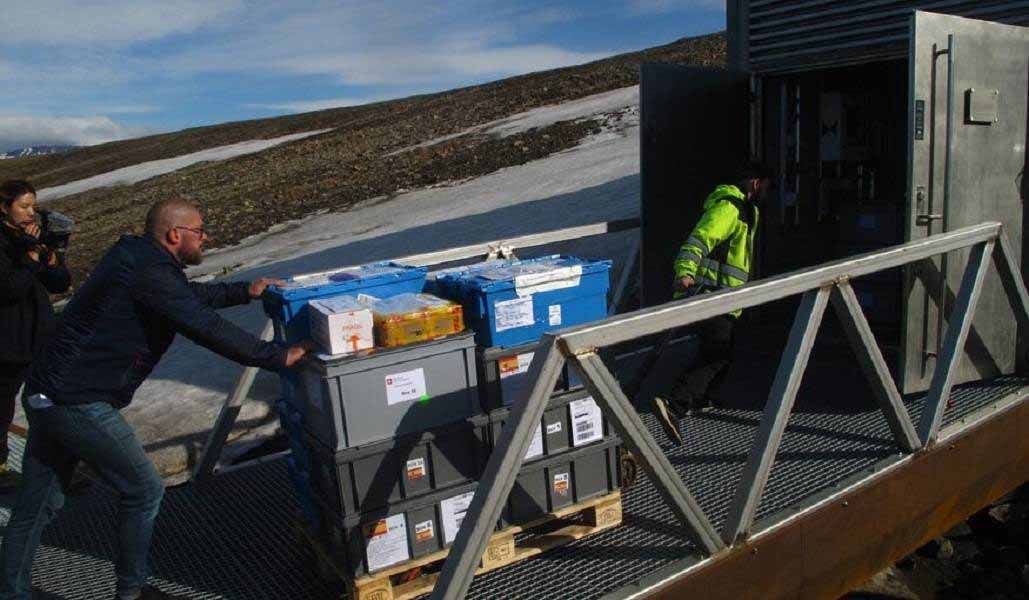 Cajas con semillas españolas ingresando a la Bóveda Global de Semillas de Svalbard el 9 de junio de 2022 / Foto: NordGen - SINC