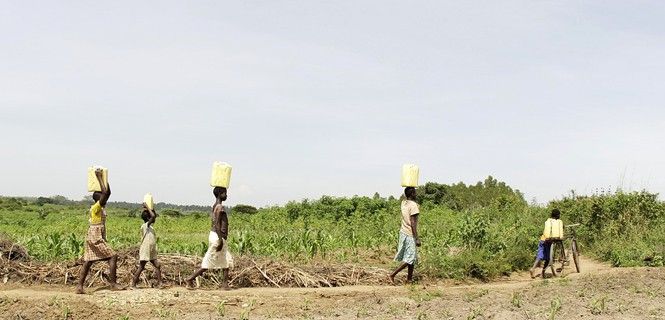 Mujeres y niñas transportan agua en Uganda / Foto: Charles Nambasi 