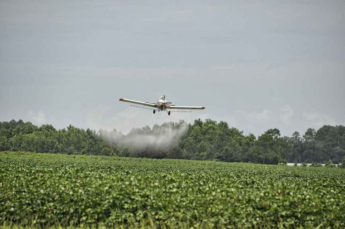 La UE redujo un 14% el uso de pesticidas químicos en 2020 / Foto: Pixabay