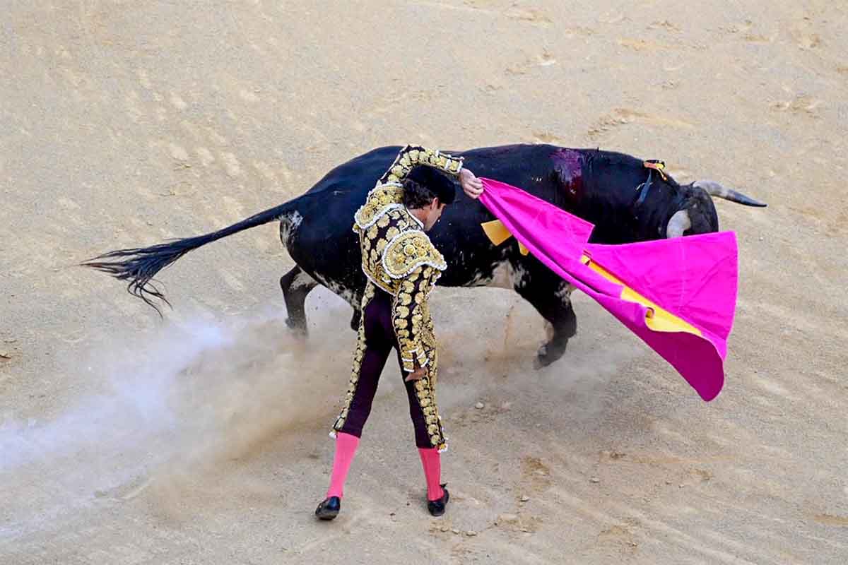 Anulado decreto que consideraba como patrimonio cultural a las corridas de toros y peleas de gallos / Foto: Juan de Dios Ortiz - EP