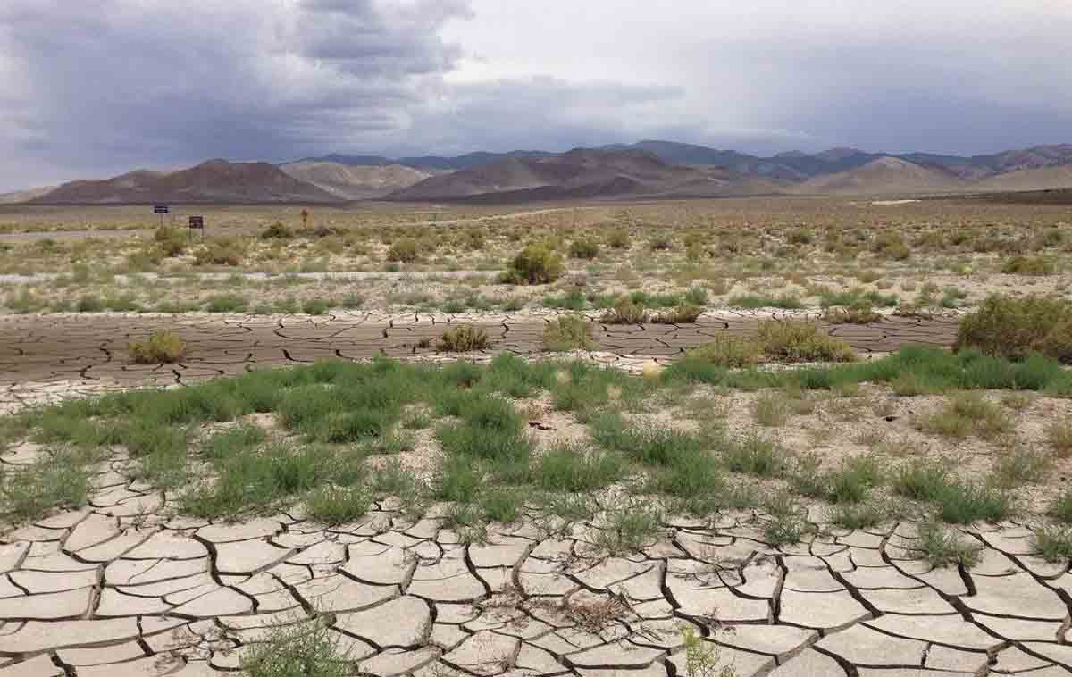 Día Mundial contra la Desertificación y la Sequía / Foto: EP
