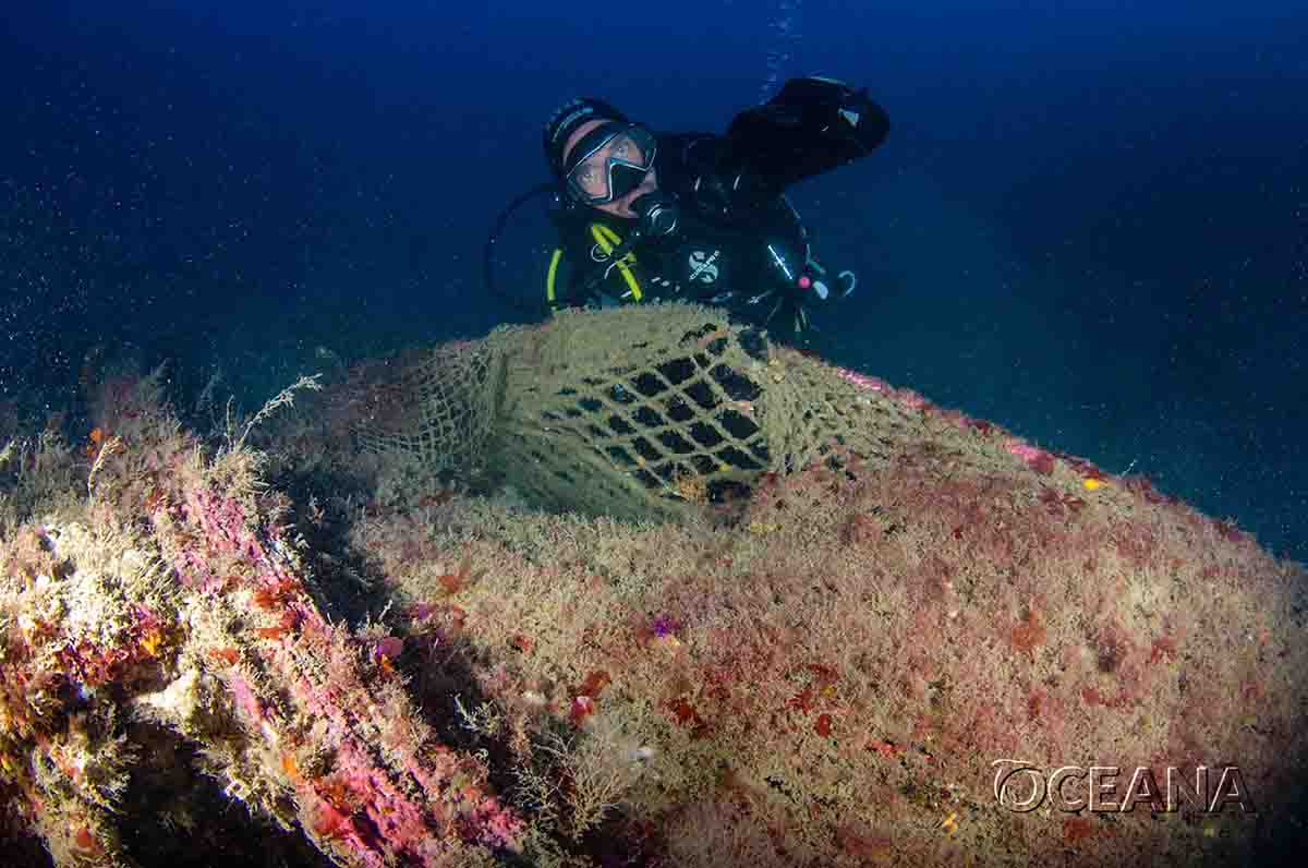 Oceana descubre oasis y vertederos submarinos en el mar de Alborán / Foto: Oceana - EP