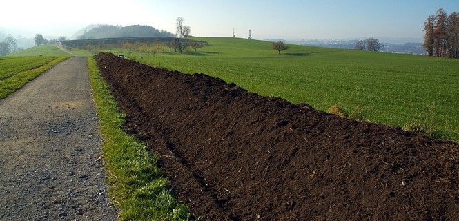 Compost en el borde de un campo de cultivo / Foto: Pixabay