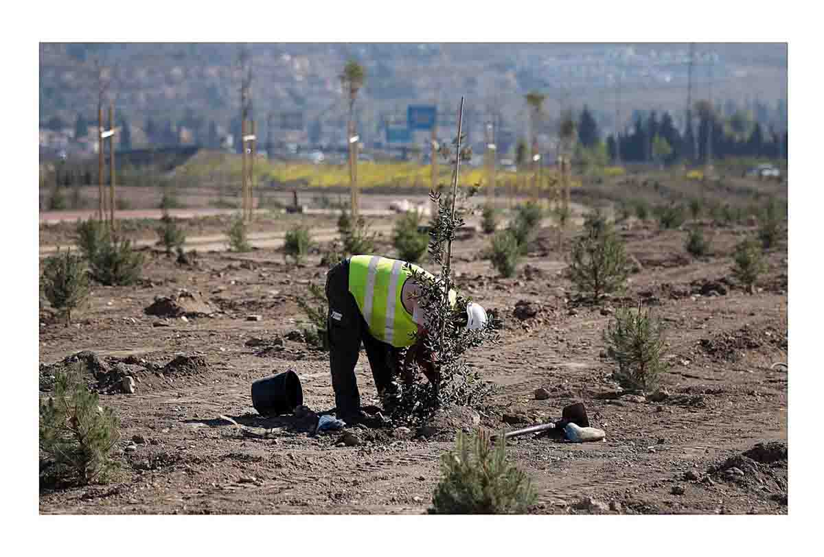 Ley de Conservación y uso sostenible de los suelos / Foto: EP