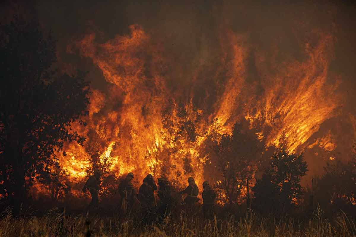 Efectivos de bomberos durante el incendio de la Sierra de la Culebra, a 18 de junio de 2022, en Zamora. Incendios forestales / Foto: EP