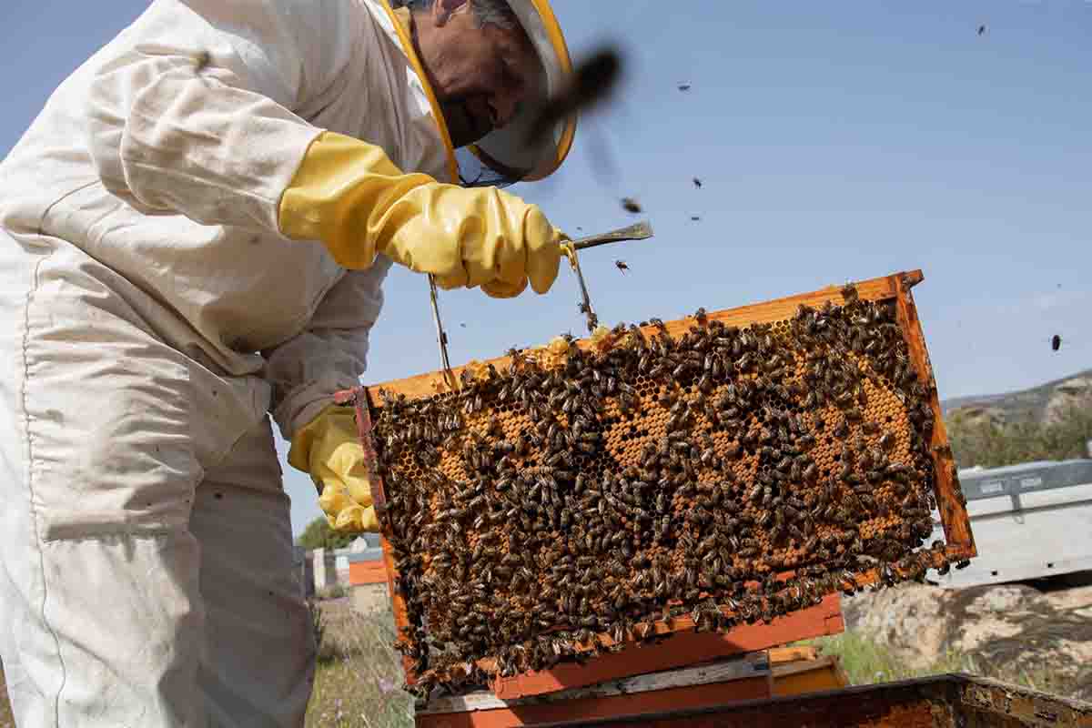 Ecologistas celebran el nuevo paquete de medidas medioambientales de la UE / Foto: EP