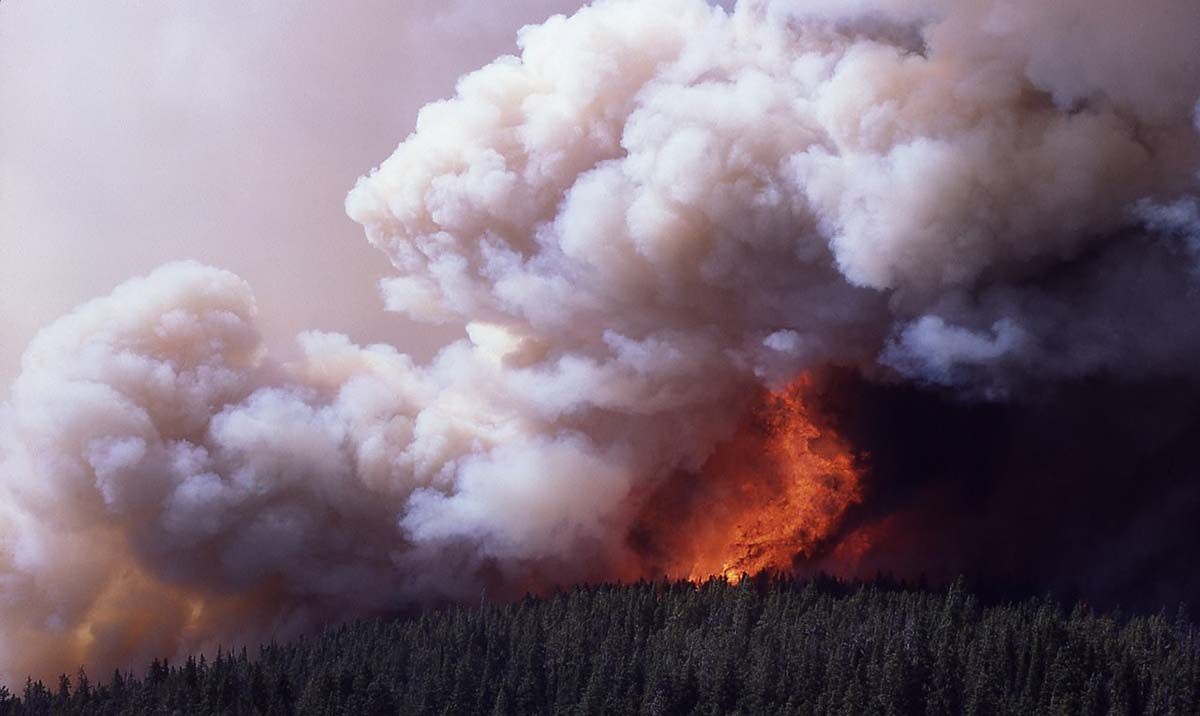 Tormentas de fuego de potencia atómica / Foto: Wikipedia