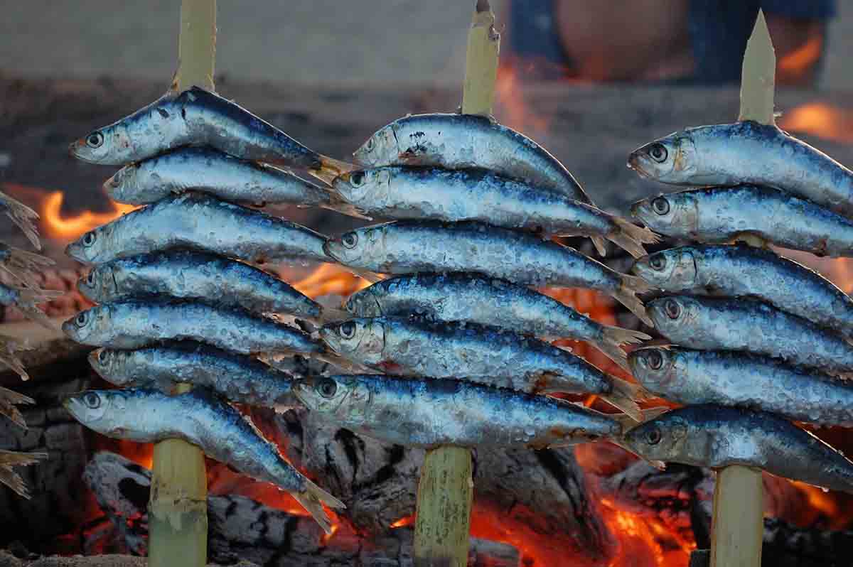 La sardina aporta enormes beneficios para la salud / Foto: Pixabay