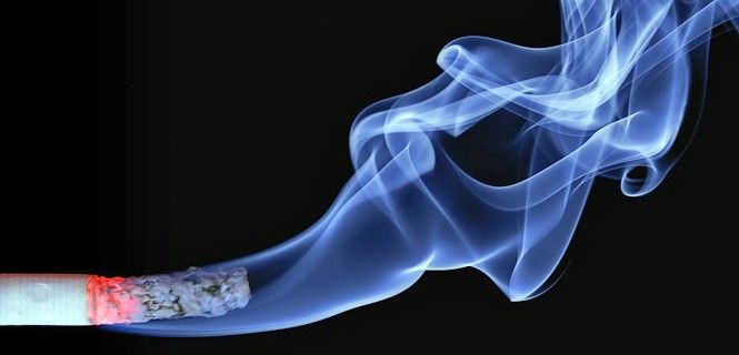 Cigarrillo de una marca tabacalera / Foto: Ralf Kunze