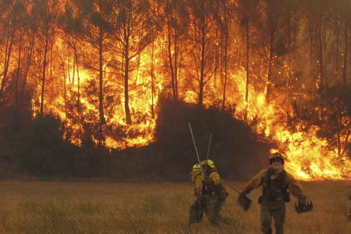 Una Brigada de Lucha contra Incendios Forestales del MITECO lucha contra un incendio forestal / Foto: EP