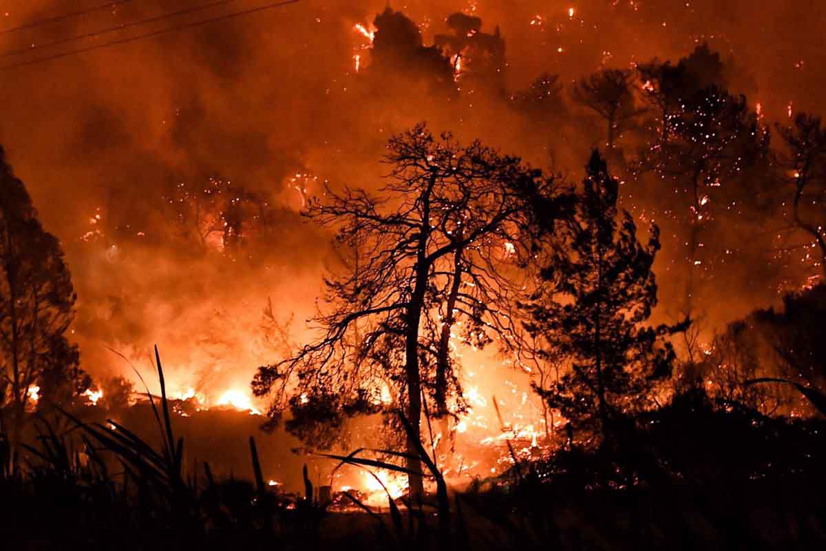 Incendio cerca de la localidad griega de Schinos. Incendios forestales / Foto: