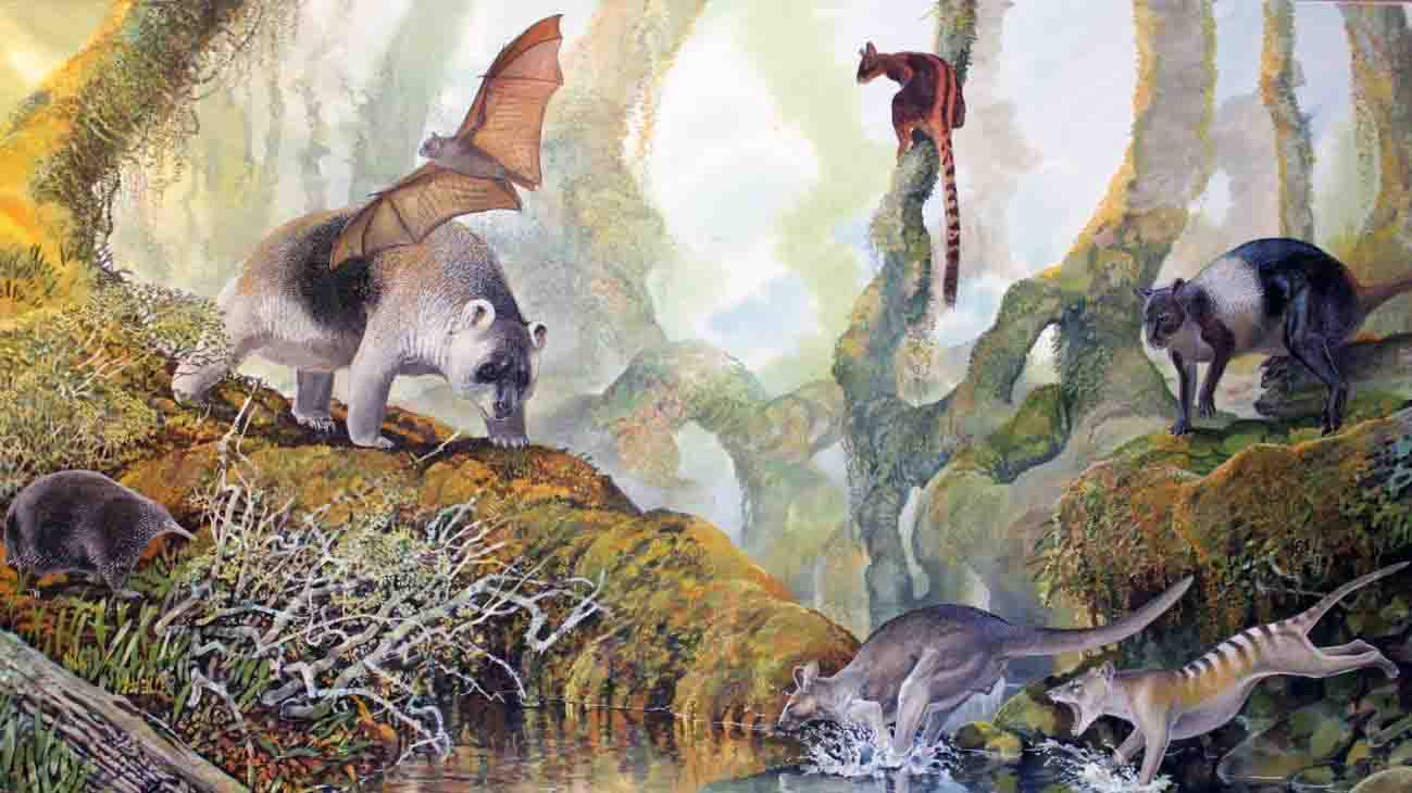 Impresión artística de la megafauna del refugio rocoso de Nombe, que muestra al nuevo canguro a la derecha / Imagen: Peter Schouten - SINC