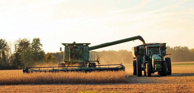 Cosecha con maquinaria agrícola de un campo de soja  / Foto: Cincinnati 