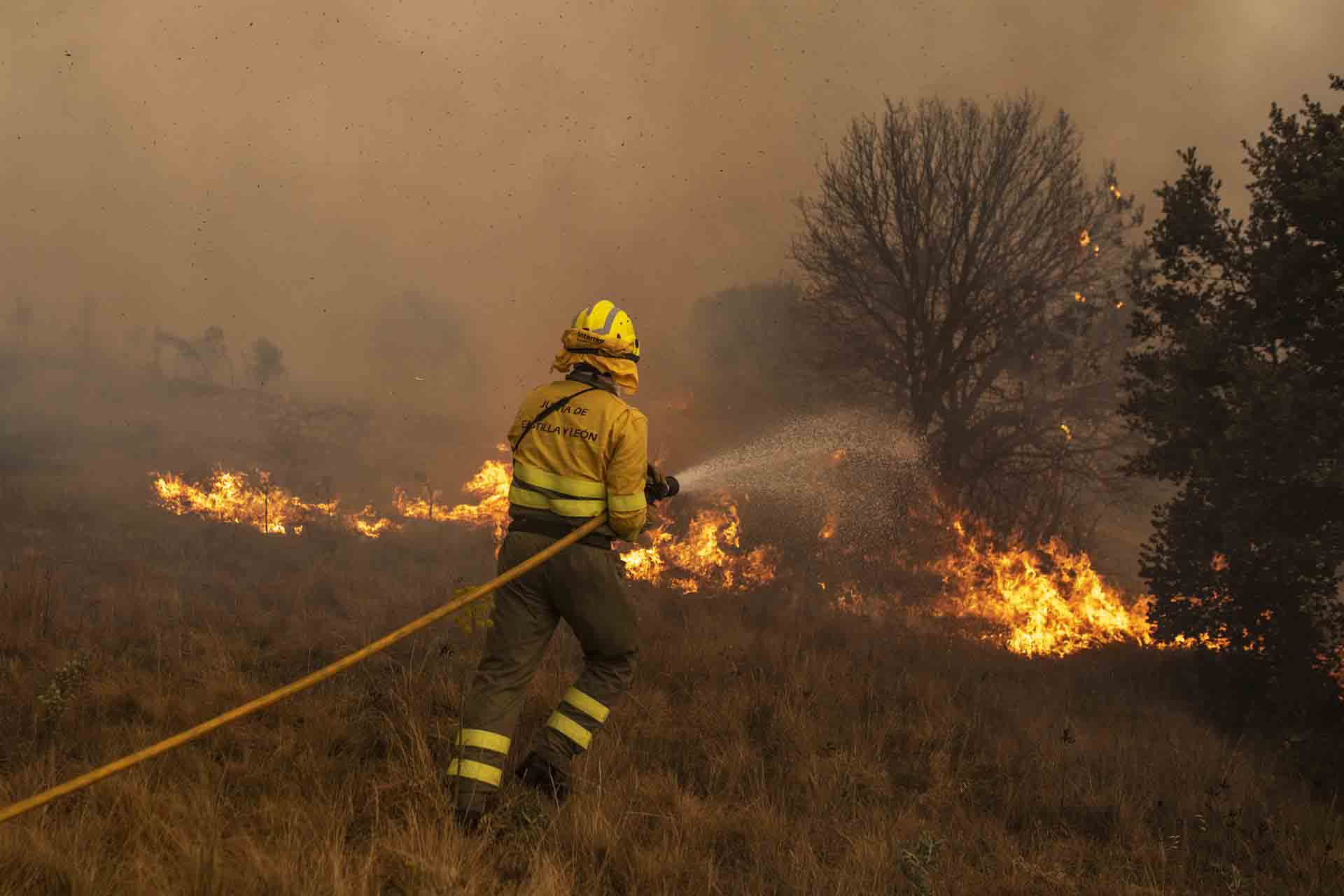 Efectivos de bomberos durante el incendio de la Sierra de la Culebra, a 18 de junio de 2022, en Zamora, Castilla y León (España) / Foto: EP