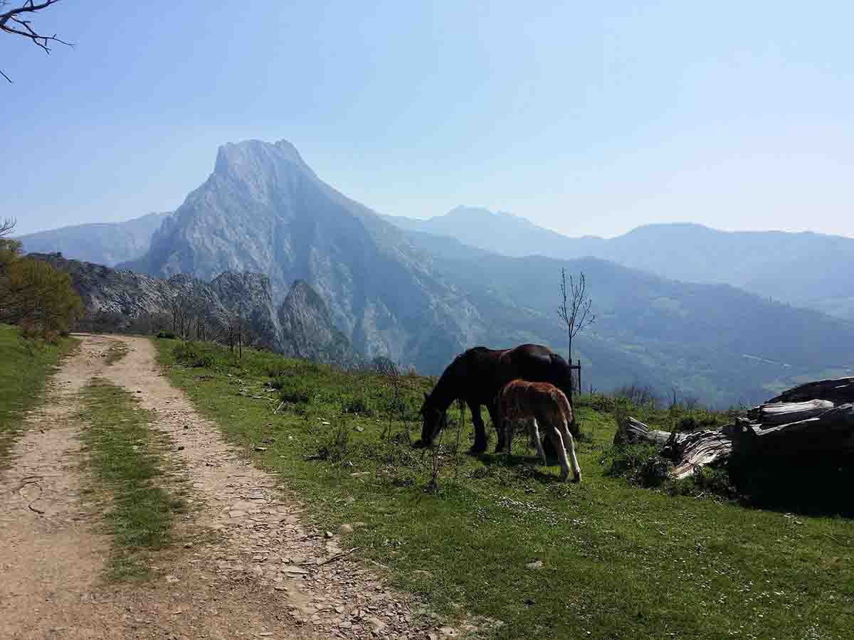 Moratoria de renovables en Reservas de la Biosfera / Foto: Pixabay