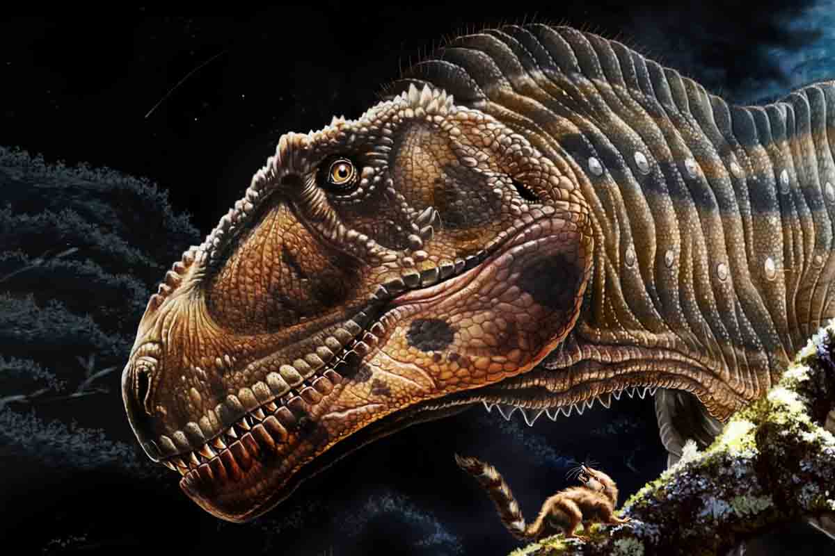 Meraxes gigas es un nuevo dinosaurio carnívoro gigante