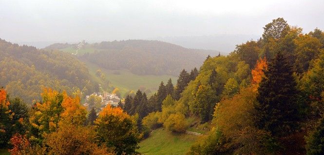 Bosque de Lessinia  en la provincia de Verona (Italia) / Foto: Gianni Crestani