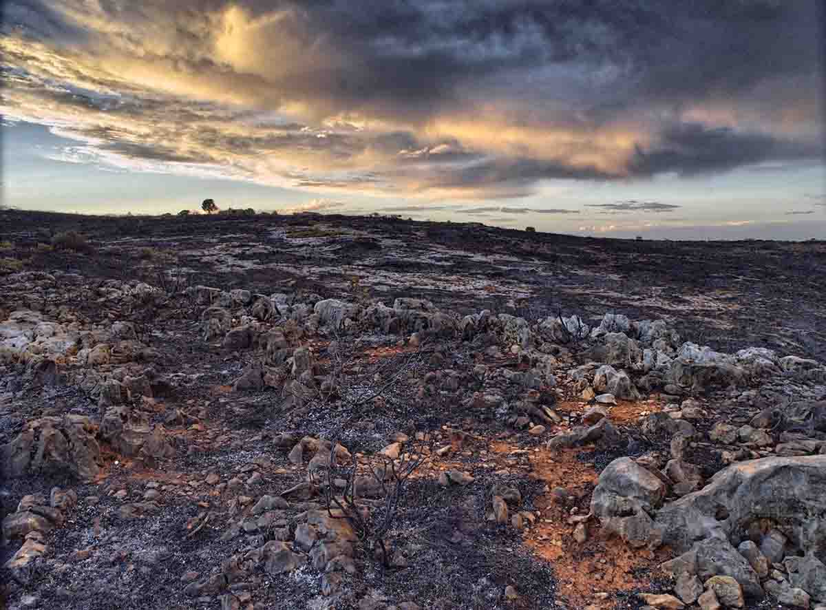 El 74% del territorio español está amenazado por sequía y desertificación. Estado de los embalses. Sequías / Foto: EP