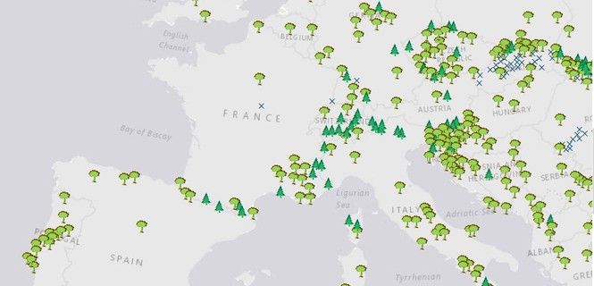 Mapa de bosques vírgenes de Europa / Foto: Universidad de Vermont
