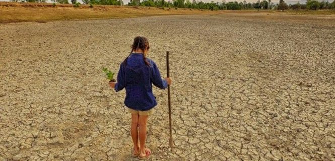 El 5 de junio se celebra el Día Mundial del Medio Ambiente / Foto: EP - Archivo