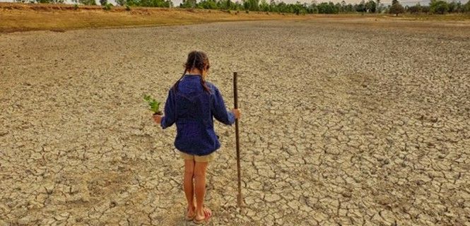 El 5 de junio se celebra el Día Mundial del Medio Ambiente / Foto: EP - Archivo