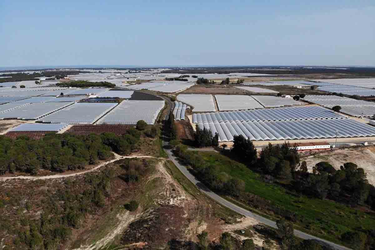 Sanciones millonarias a España por proteger a regantes ilegales en Doñana / Foto. EP