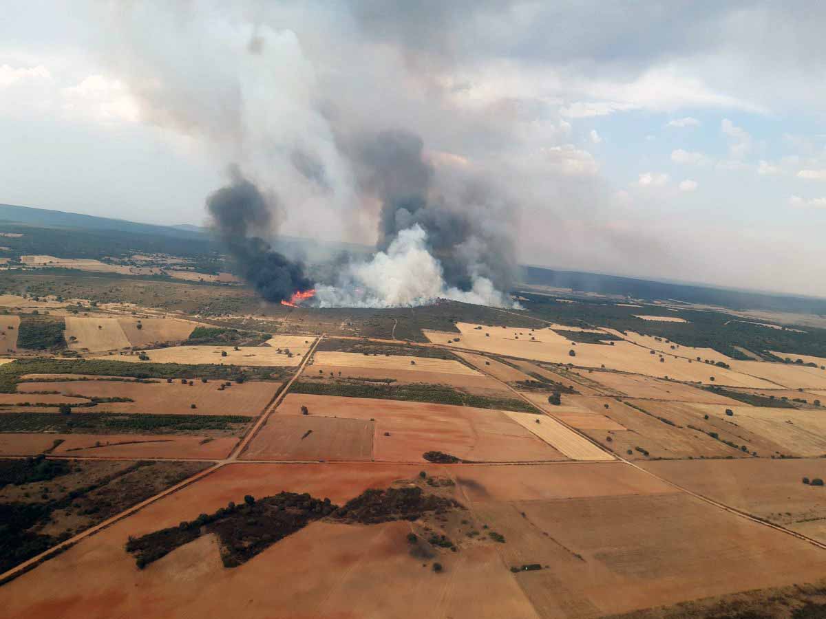 Incendio forestal de Losacio, en Zamora (Castilla y León) / Foto: EP