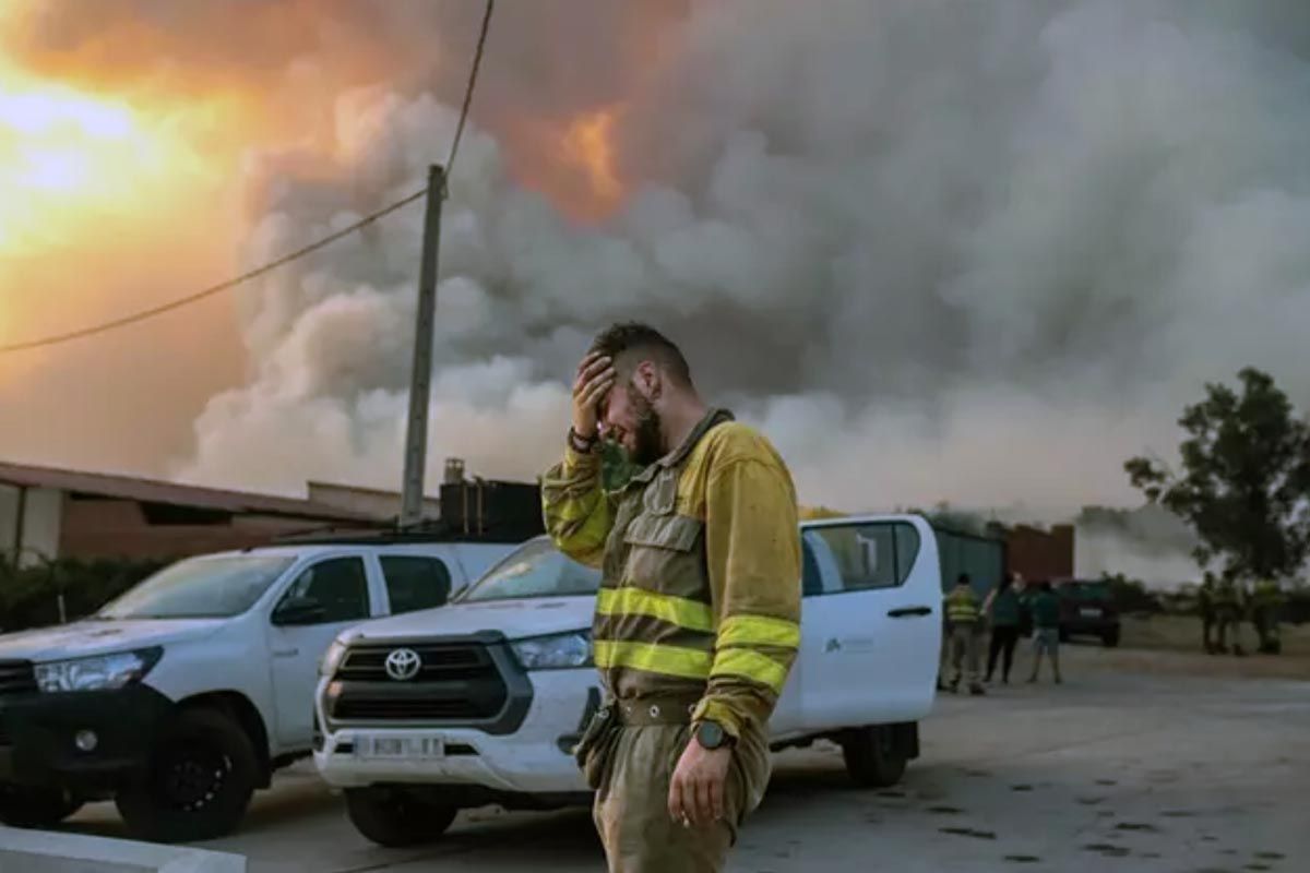 Un bombero llora en las inmediaciones del incendio de Losacio, a 17 de julio de 2022, en Losacio, Zamora, Castilla y León (España) / Foto: EP