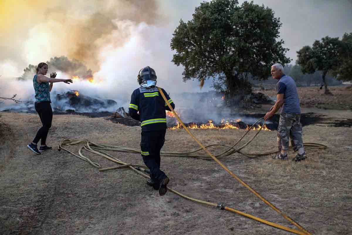 Un bombero y dos vecinos trabajan en la extinción del fuego de Losacio / Foto: EP