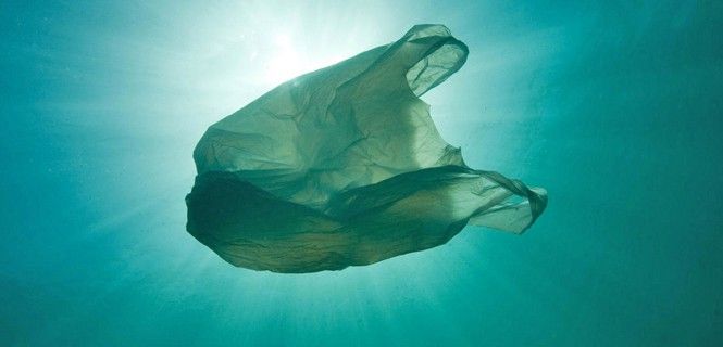 Una bolsa flotando en el mar / Foto: WWF