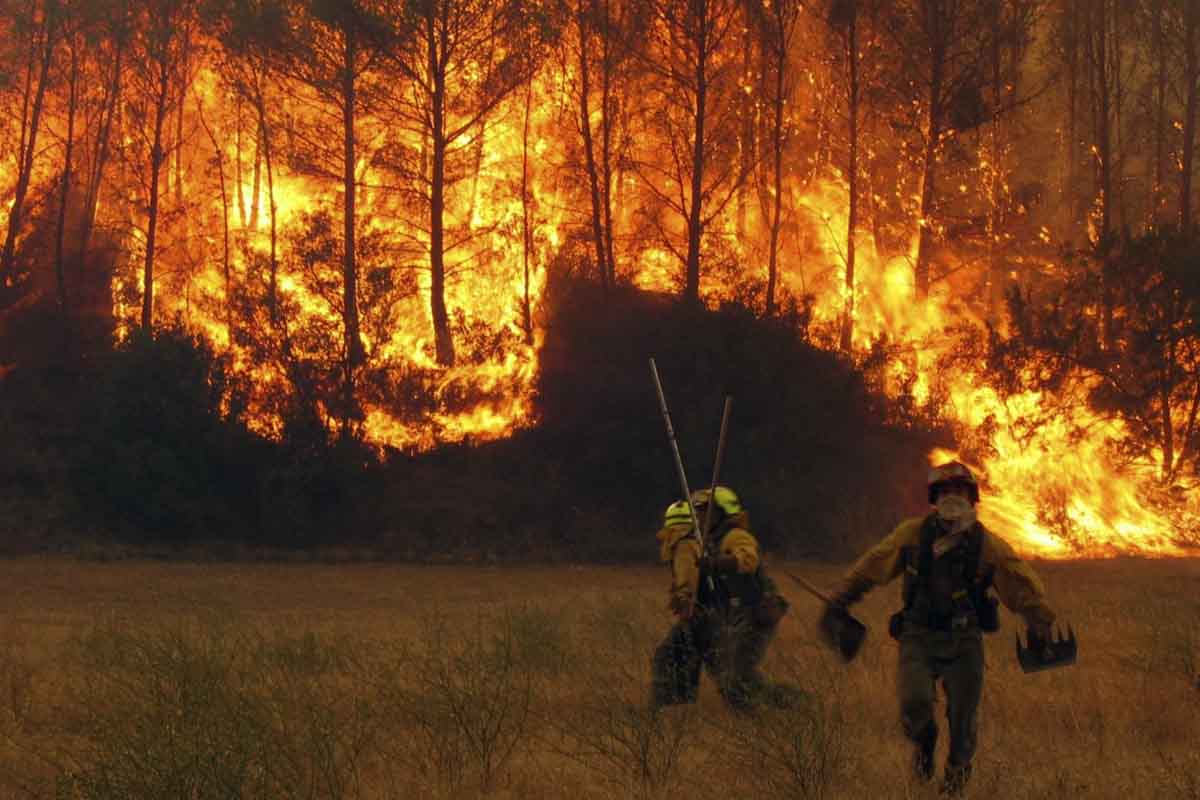 Una Brigada de Lucha contra Incendios Forestales del MITECO lucha contra un incendio forestal. Incendios forestales / Foto: EP