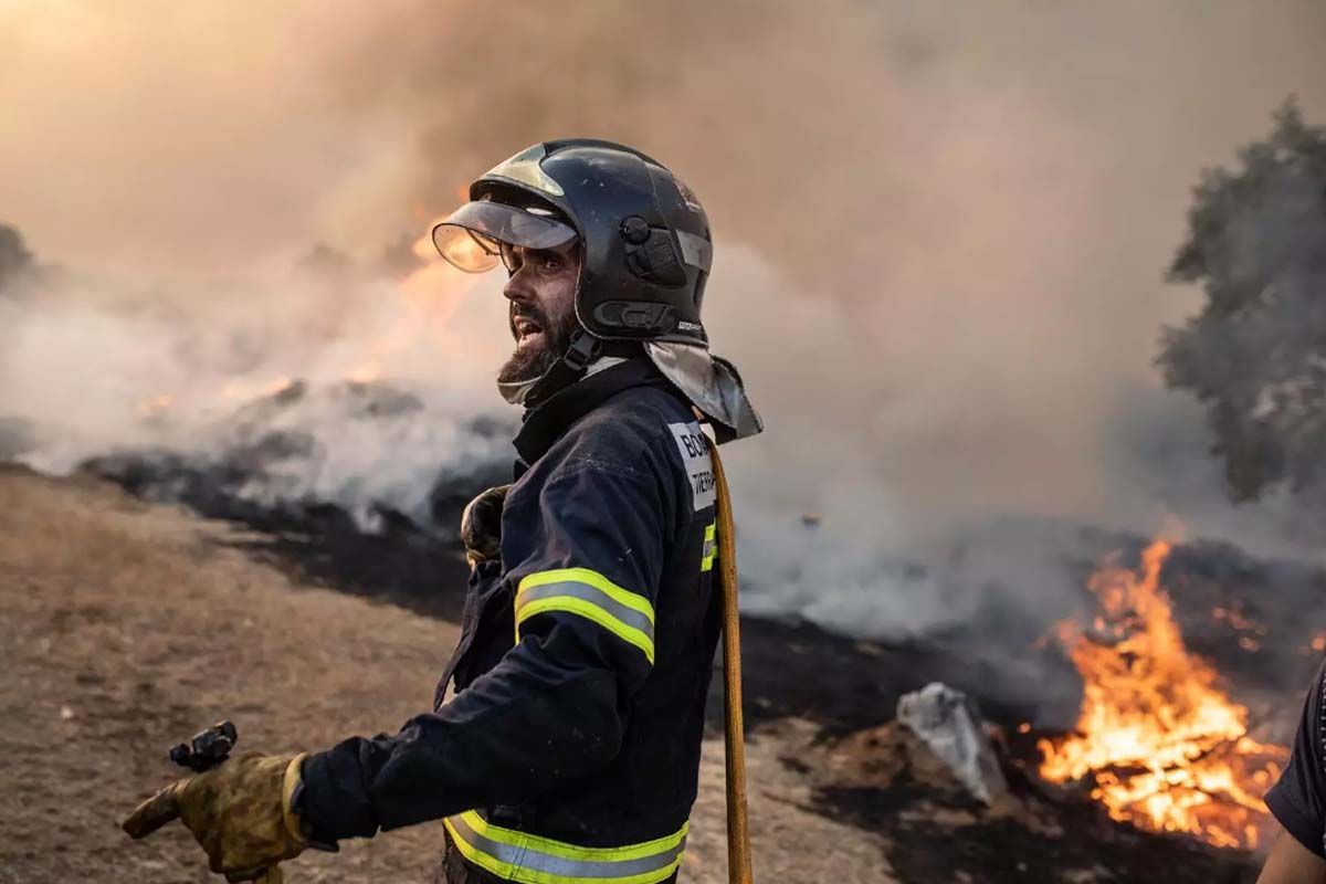 Un bombero trabaja en el incendio de Losacio, en Zamora. Incendios forestales / Foto: EP
