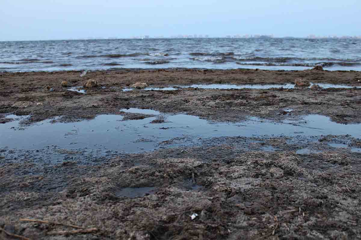 Presencia de contaminantes de aguas residuales vertidos al Mar Menor / Foto: Pixabay