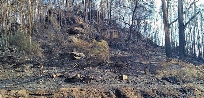 Restos de un incendio forestal / Foto: EP - Archivo