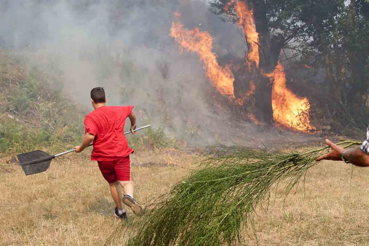 Proyectos de investigación sobre el cambio climático y los incendios / Foto: EP