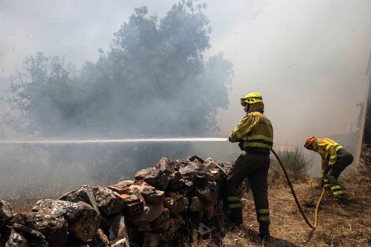Varios bomberos trabajan en la extinción del fuego del incendio de Losacio, a 18 de julio de 2022, en Ferreras de Abajo, Zamora, Castilla y León (España) / Foto: EP