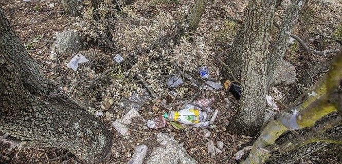 Arbolado repleto de basura / Foto: Libera