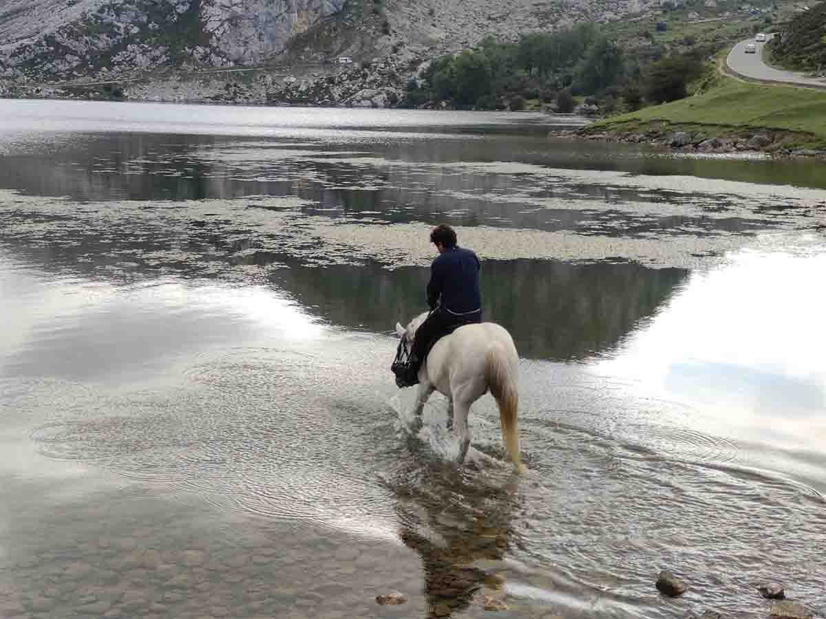 Algunas bacterias naturales de los lagos crecen con mayor rapidez y eficacia en los restos de las bolsas de plástico / Foto: EP