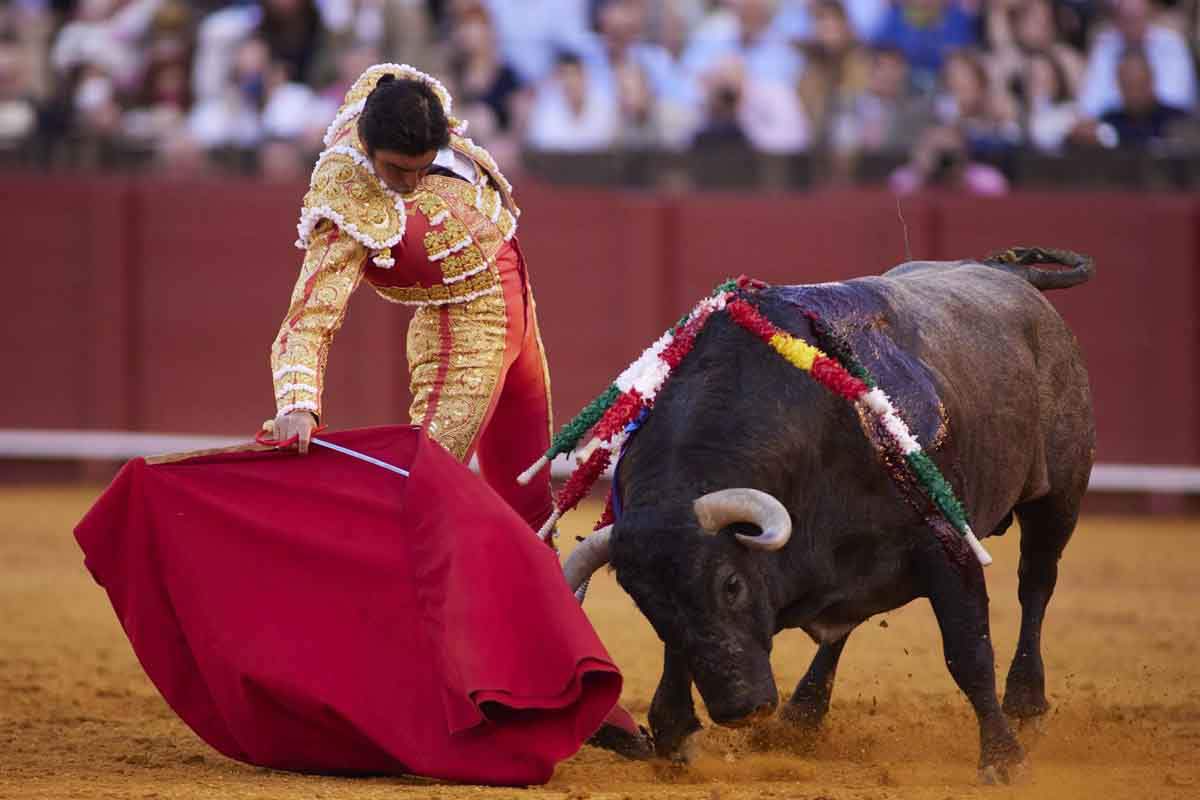 Antitaurinos protestan en Palma de Mallorca contra la vuelta de las corridas de toros / Foto: EP