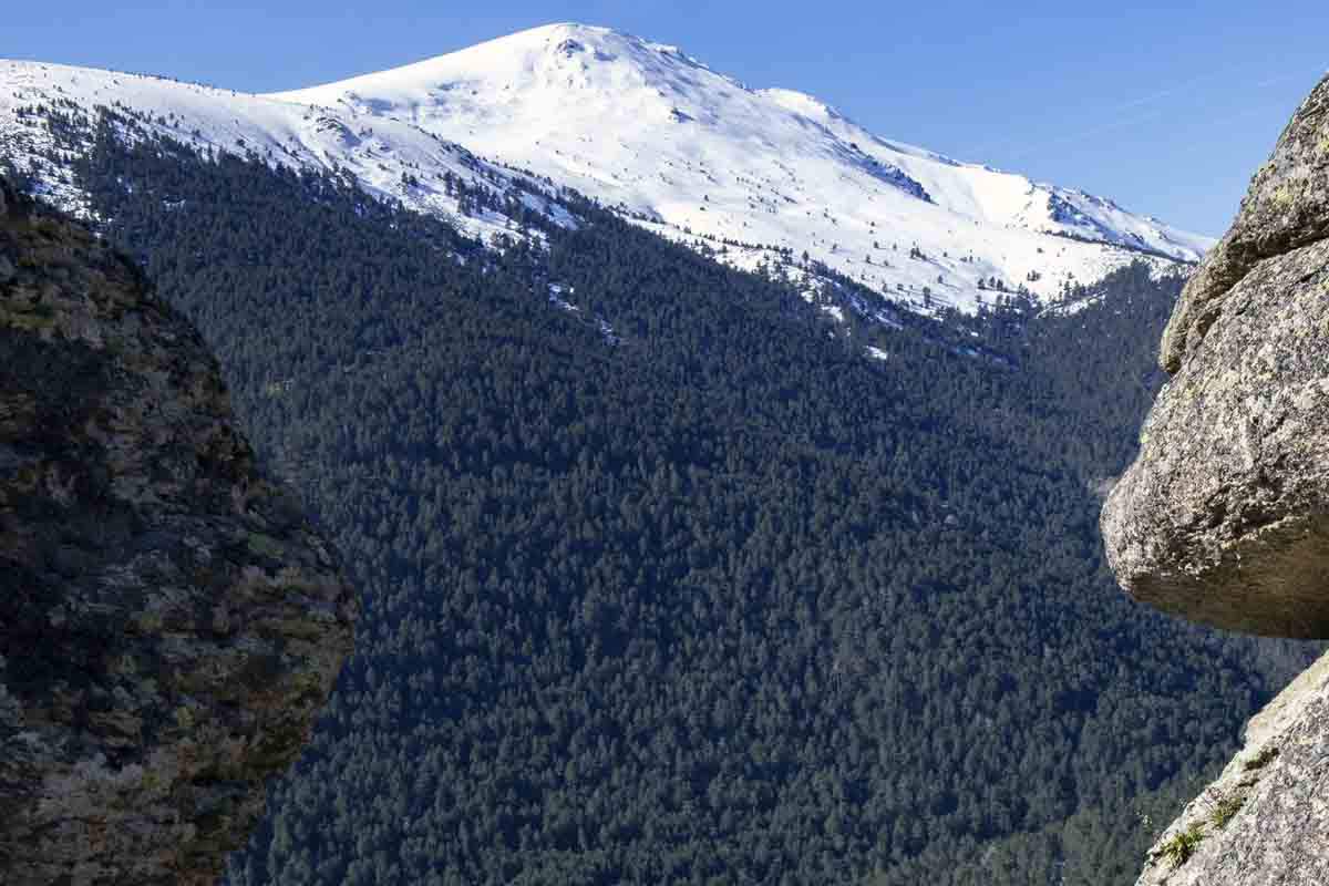 Pinar de los Belgas, a 7 de abril de 2022, en Madrid (España). Un medio ambiente sano como derecho humano universal / Foto: EP