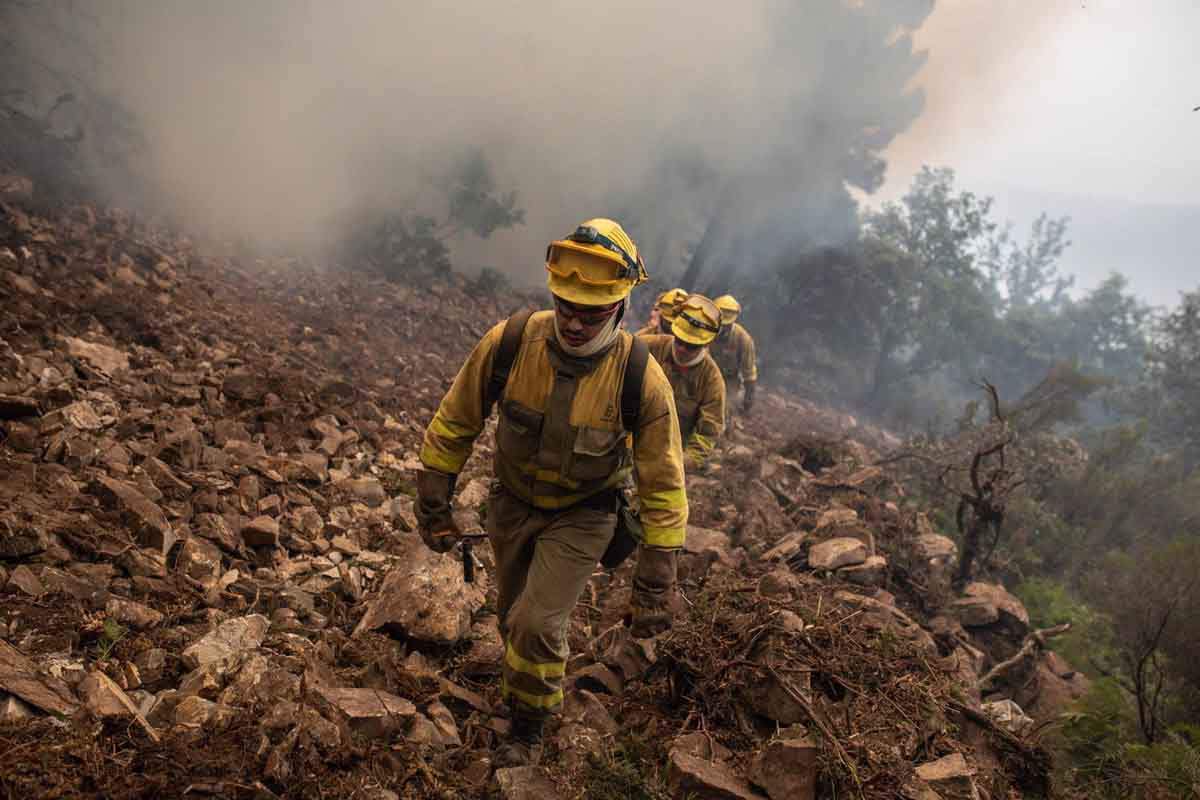 Ecologistas en Acción en Castilla y León piden suspender la caza en terrenos arrasados por el fuego / Foto: EP