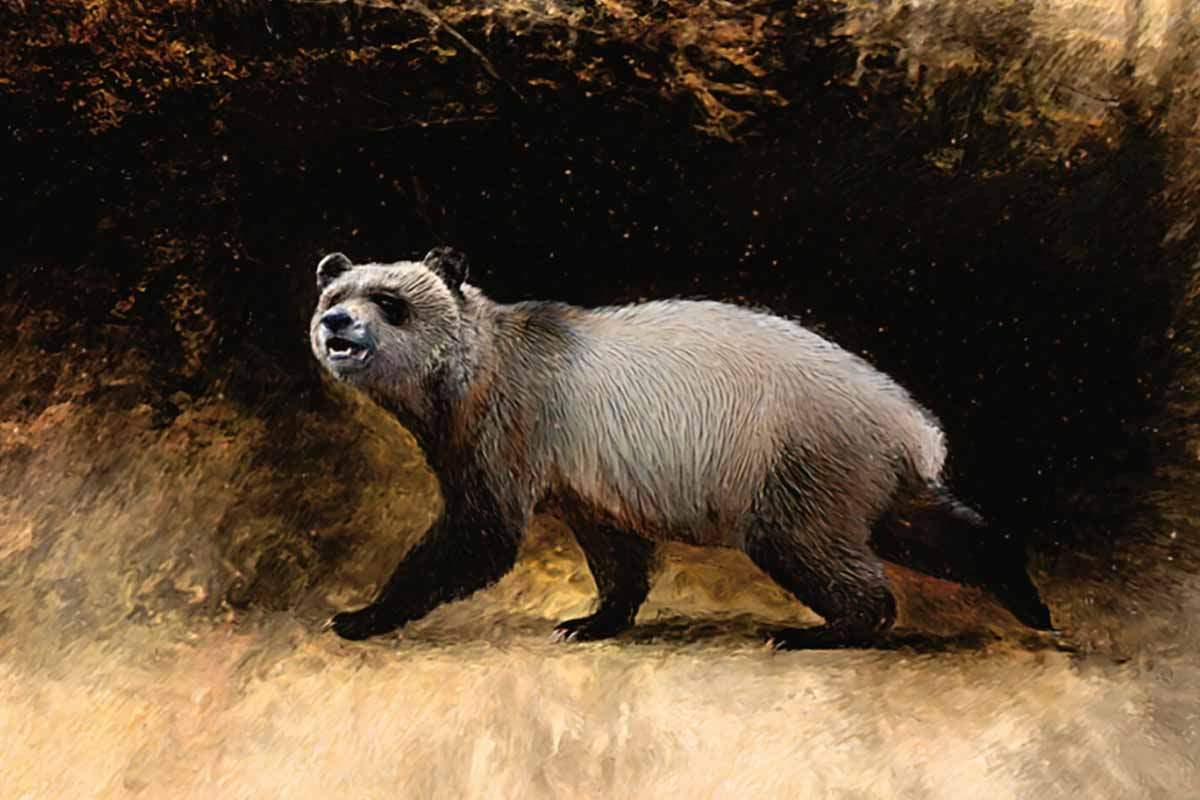 Reconstrucción de A. nikolovi de Bulgaria. Obra de Velizar Simeonovski, Chicago. Una especie de panda que pudo ser la última de Europa / Imagen: Qigao Jiangzuo  & Nikolai Spassov