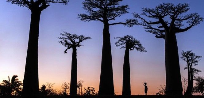 Reconocer los derechos de los Pueblos Indígenas es esencial para la conservación / Foto: Joan de la Malla