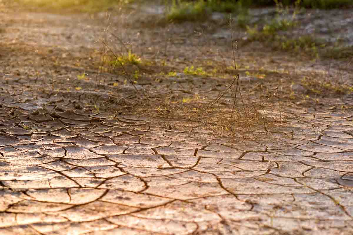 Catalunya crea la Comisión Interdepartamental de la Sequía / Foto: Pixabay