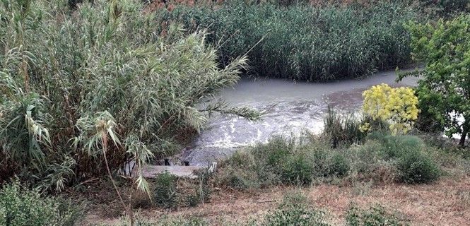 Veritidos de aguas residuales al río Segura / Foto: Archivo - EP