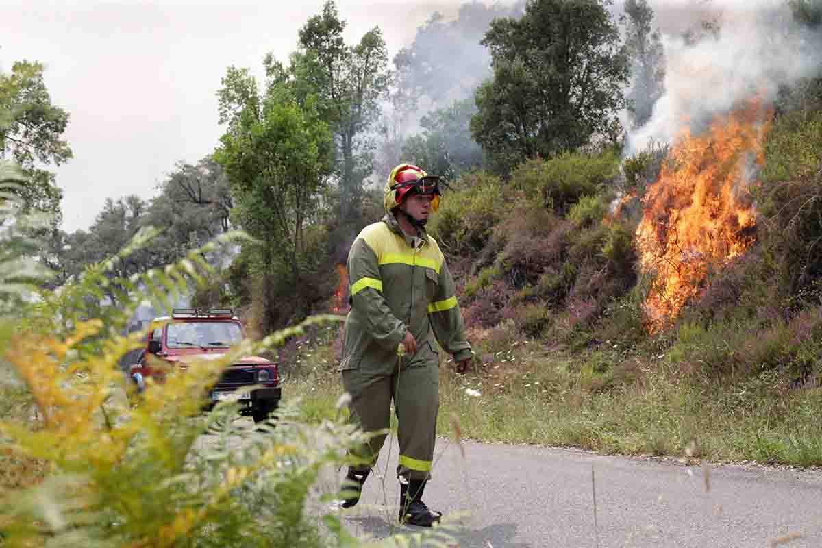 Un agente del BRIF durante las labores de extinción de un incendio, a 15 de julio de 2022, en Samos, Lugo, Galicia (España). CCOO celebra la decisión de reforzar la prevención y extinción de incendios forestales / Foto: Carlos Castro - EP