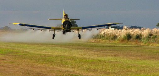 Avioneta fumigando unos cultivos con productos fitosanitarios / Foto: Santiago Nicolau
