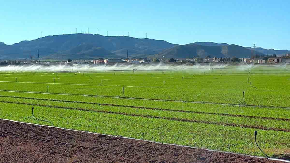 Reducir "sustancialmente" el "consumo excesivo" de agua orientado al regadío para solventar la sequía / Foto: Ecologistas en Acción