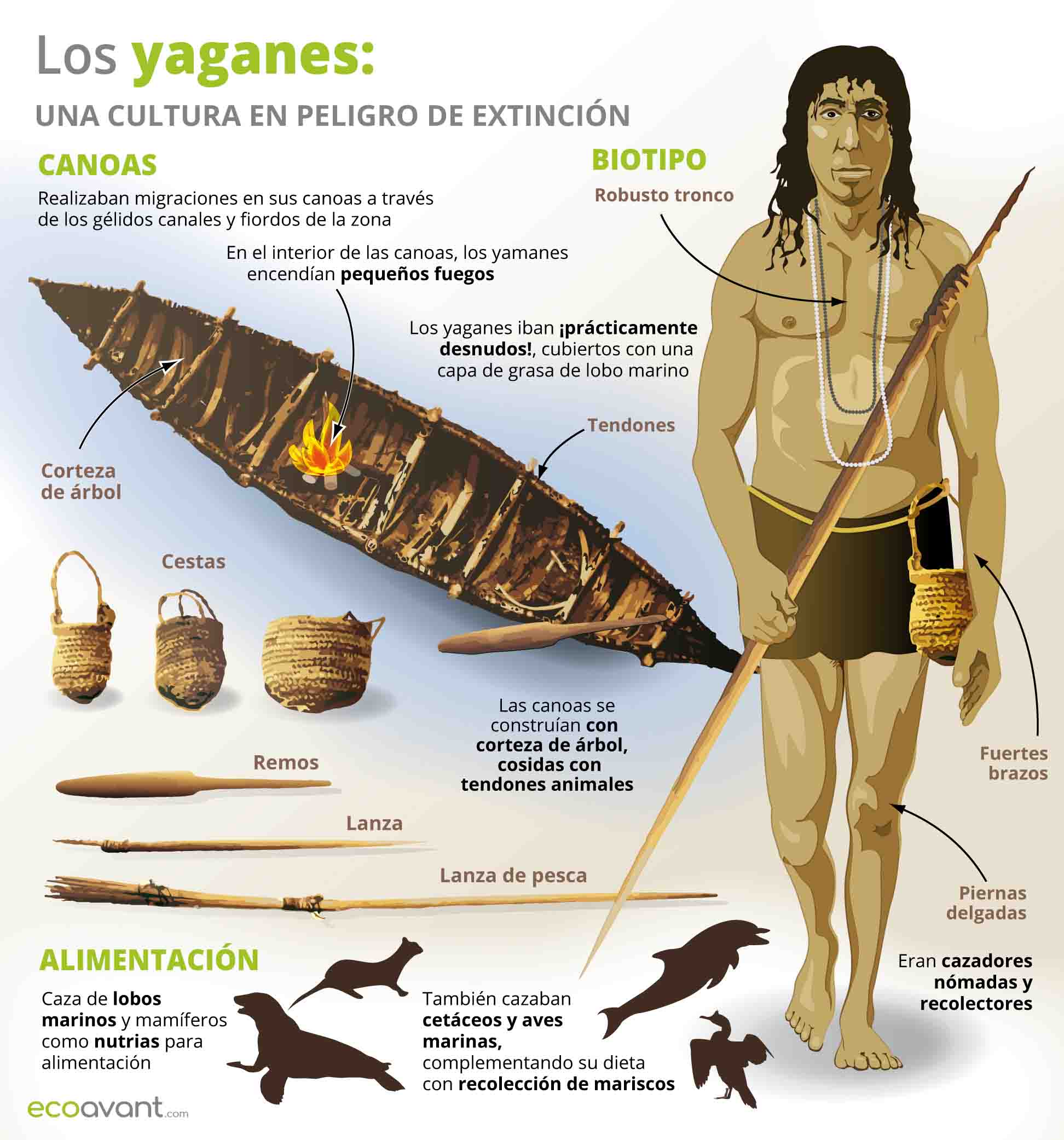 Infografía descriptiva de la cultura de los yaganes / Imagen: EA